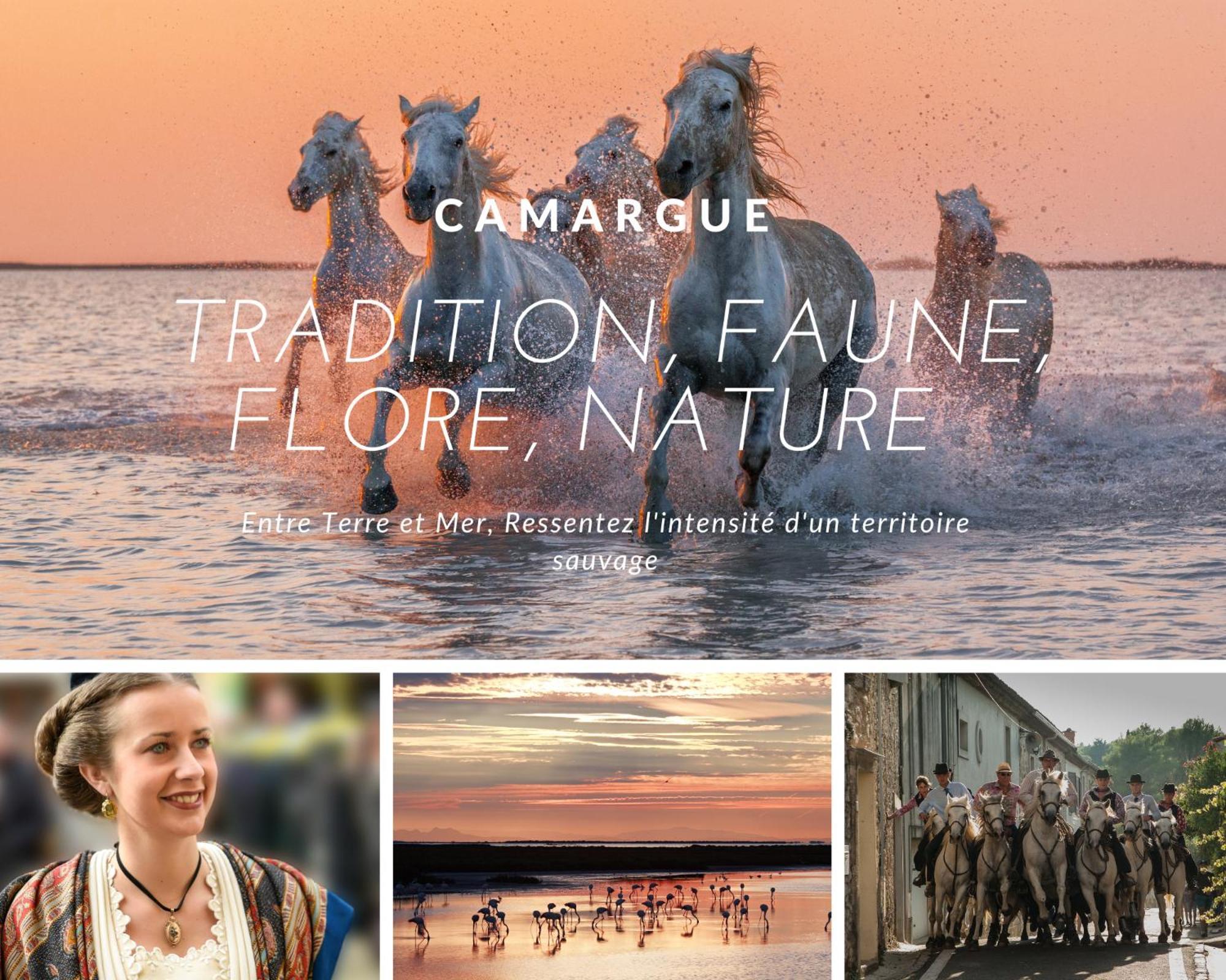 La Perle Marine * Plage A 15 Min * Parking Prive * Literie Confortable ラ・グランド・モット エクステリア 写真